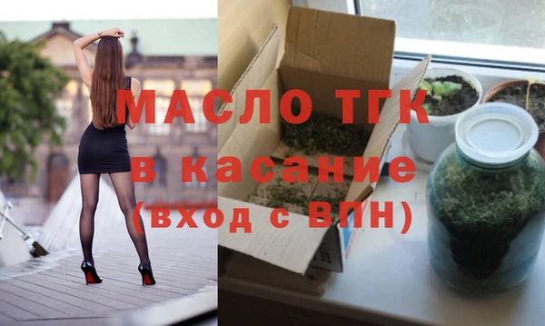 индика Киреевск
