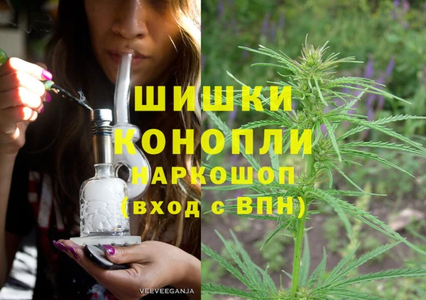 индика Киреевск