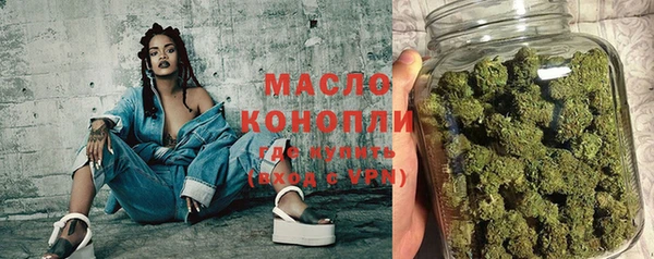 индика Киреевск