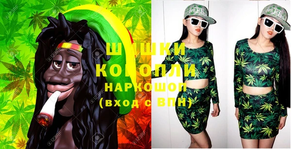 индика Киреевск