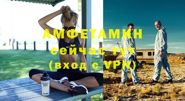 индика Киреевск