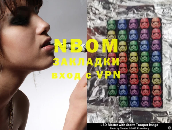 индика Киреевск