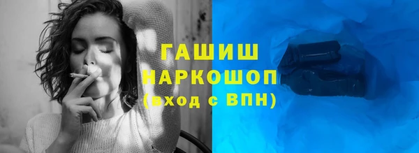 индика Киреевск