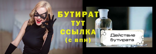 индика Киреевск