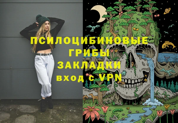 индика Киреевск