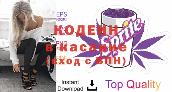 индика Киреевск