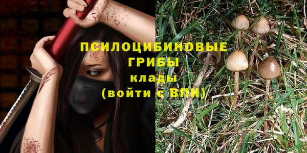 прущий лед Киренск