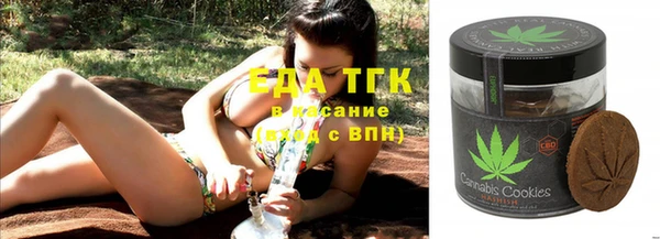 индика Киреевск
