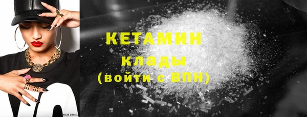 индика Киреевск